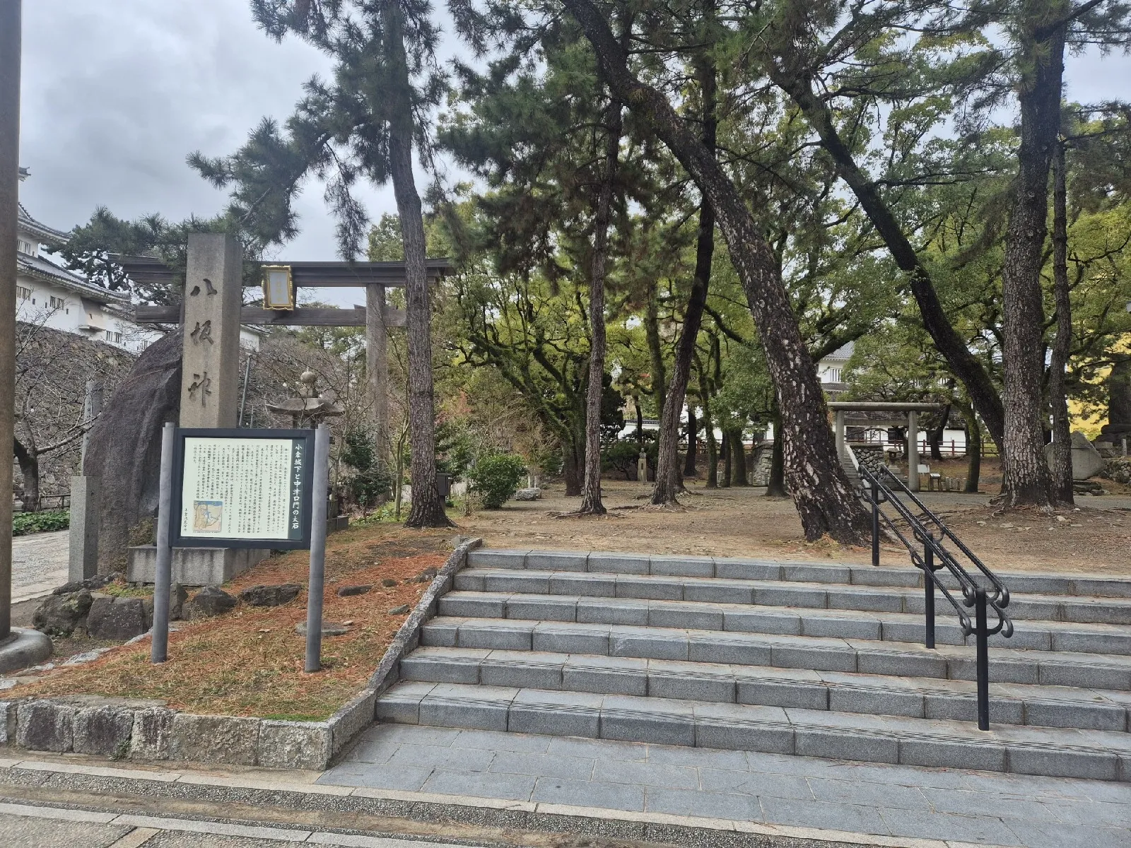 photo-1