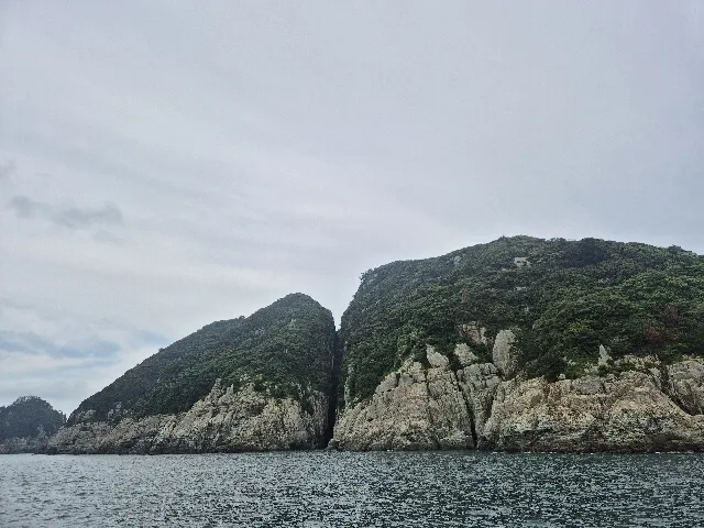 photo-1