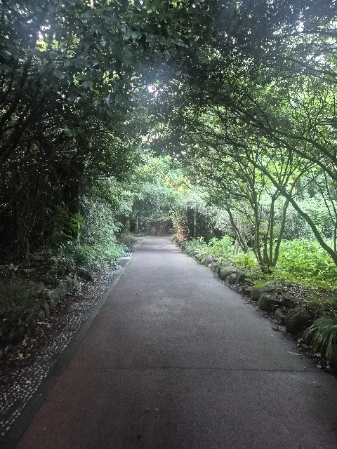 photo-5